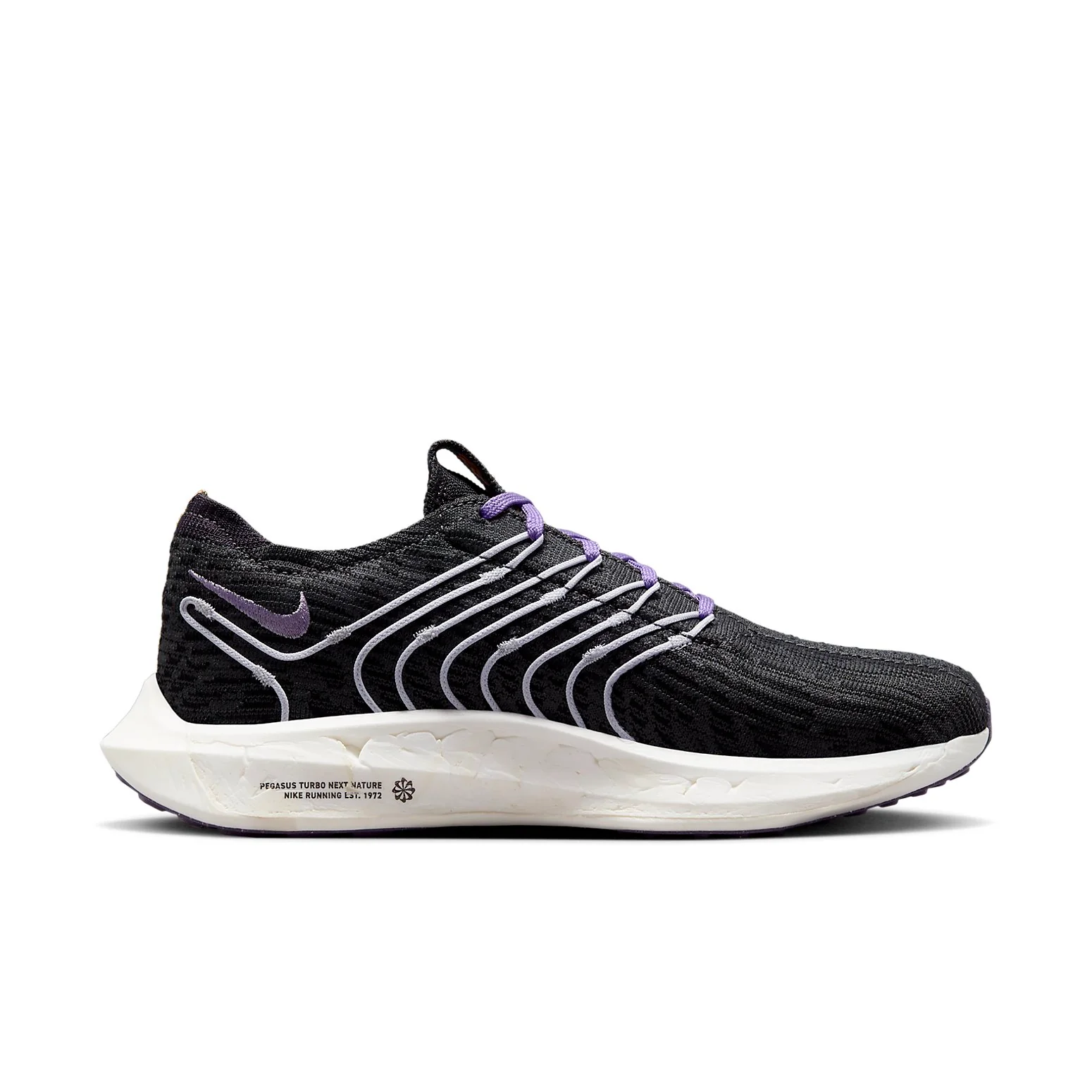 Nike Pegasus Turbo Next Nature