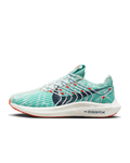Nike Pegasus Turbo Next Nature