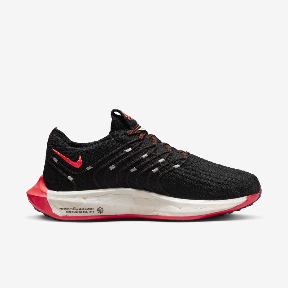 Nike Pegasus Turbo Next Nature