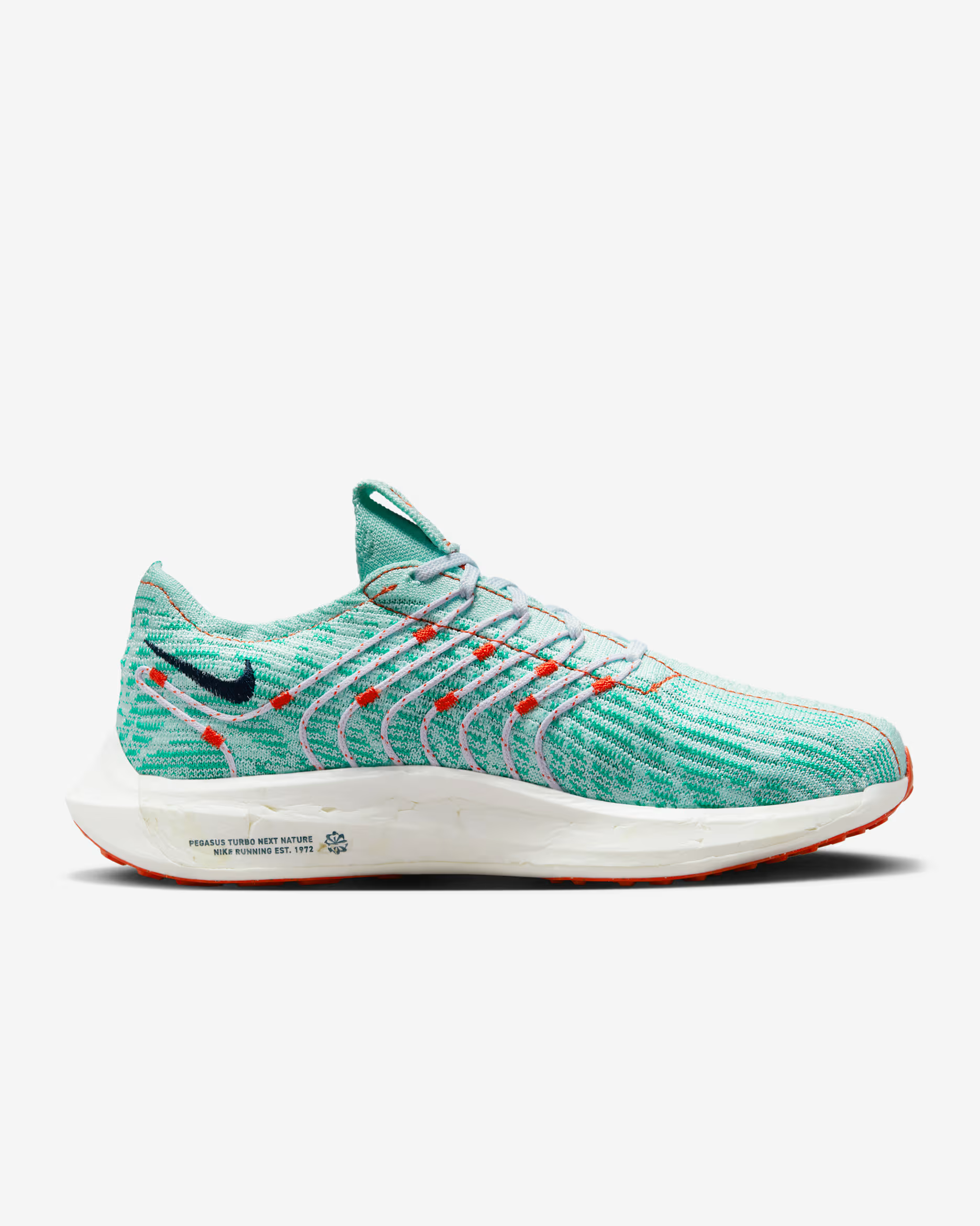 Nike Pegasus Turbo Next Nature