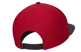 Nike Jordan Pro Jumpman Snapback