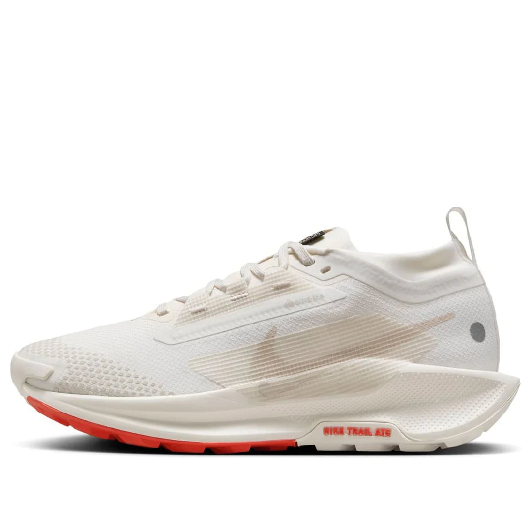 Nike Pegasus Trail 5 GORE-TEX