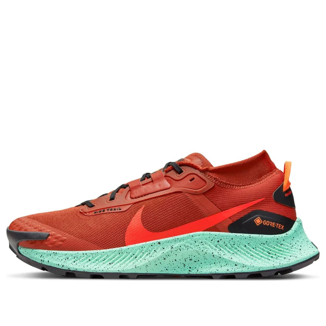 Nike Pegasus Trail 3 GORE-TEX