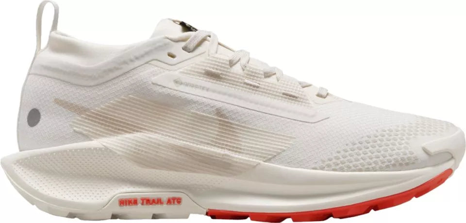 Nike Pegasus Trail 5 GORE-TEX