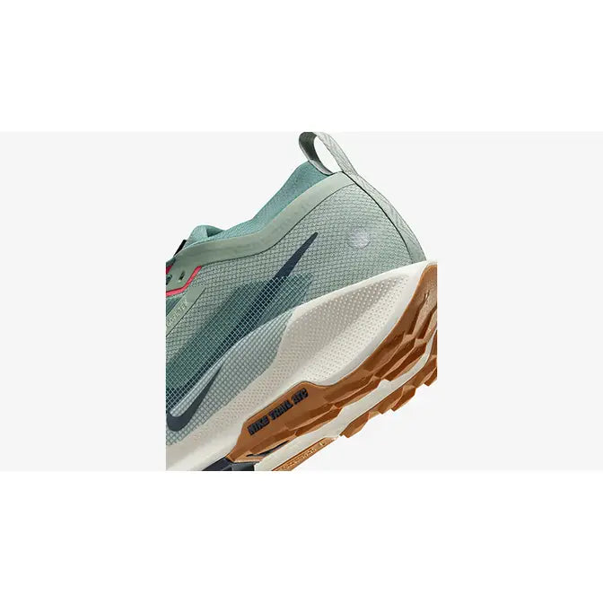 Nike Pegasus Trail 5 GORE-TEX