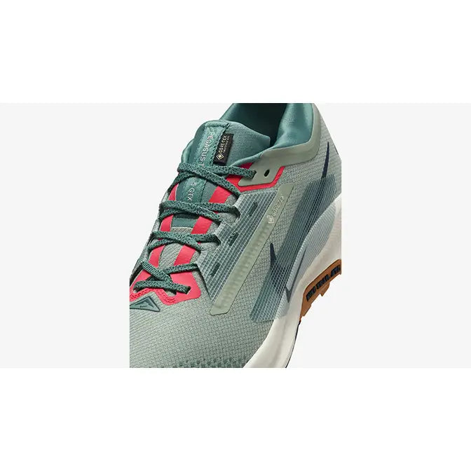 Nike Pegasus Trail 5 GORE-TEX