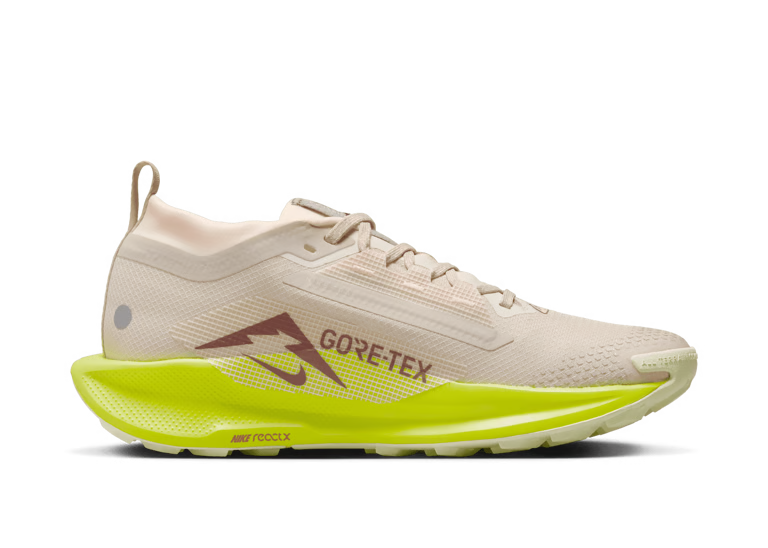 Nike Pegasus Trail 5 GORE-TEX