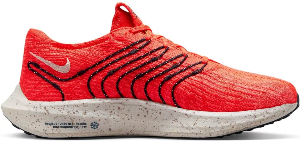 Nike Pegasus Turbo Next Nature