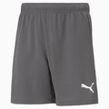 Puma Dri-Release Knitted Shorts - Asphalt