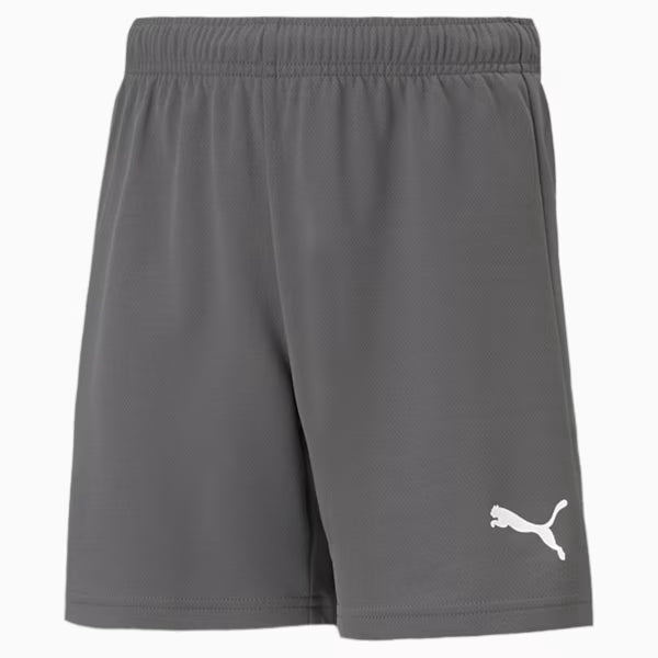 Puma Dri-Release Knitted Shorts - Asphalt